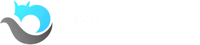 PractiTest